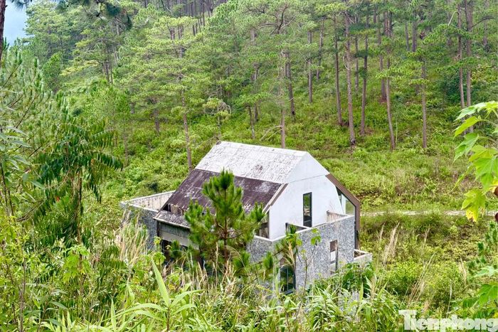 Nhiều dự án trong hồ Tuyền Lâm Đồng chưa có mặt bằng.