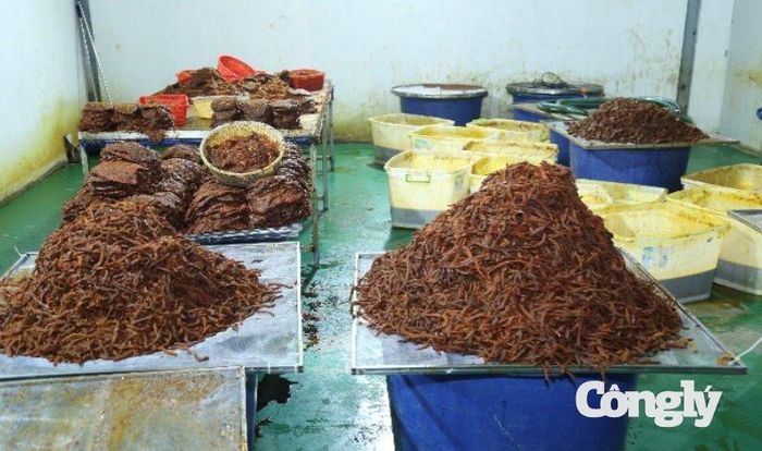Nguyên liệu đang được chế biến.