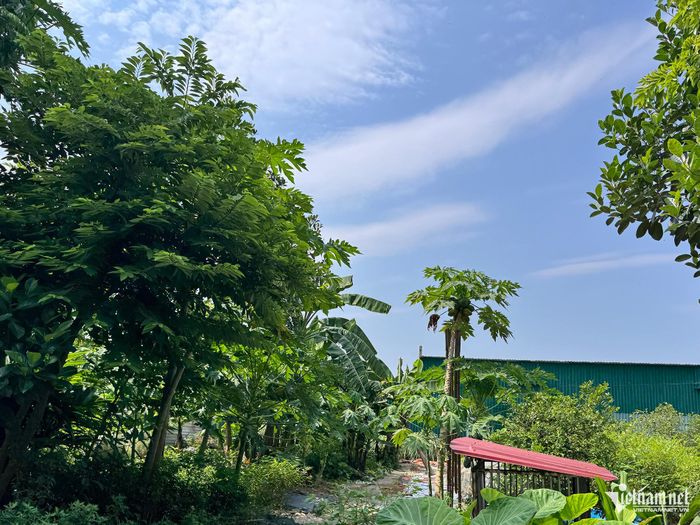 Theo phương án mới nhất, dự án tiếp tục được điều chỉnh để giải quyết các tồn tại về quy hoạch, làm cơ sở tiếp tục triển khai.