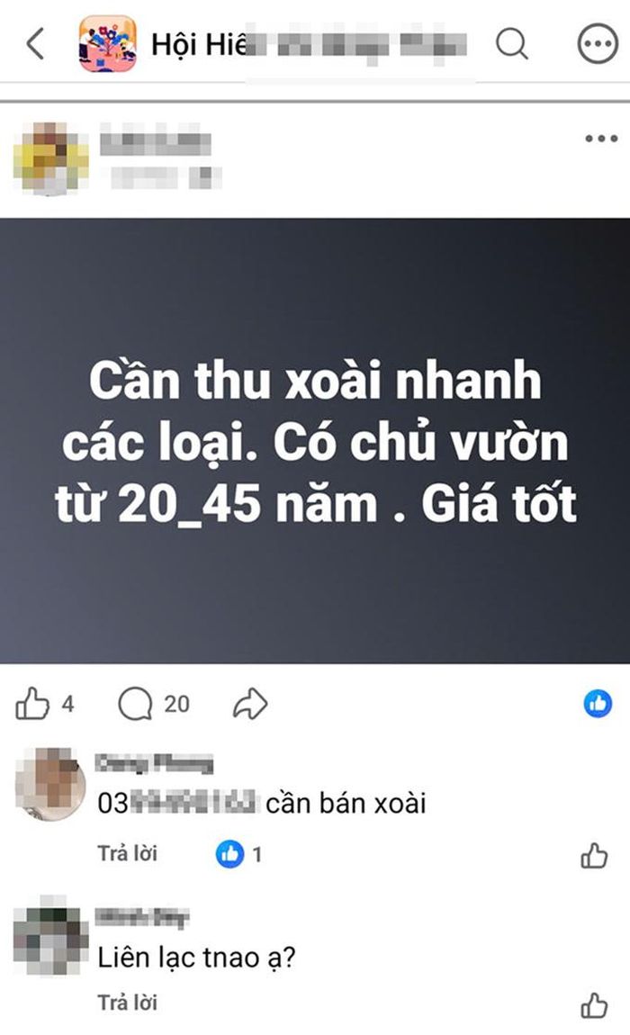 Các đối tượng công khai tìm người bán thận trên mạng xã hội bằng những 'mật ngữ' tinh vi. Ảnh: Chụp màn hình