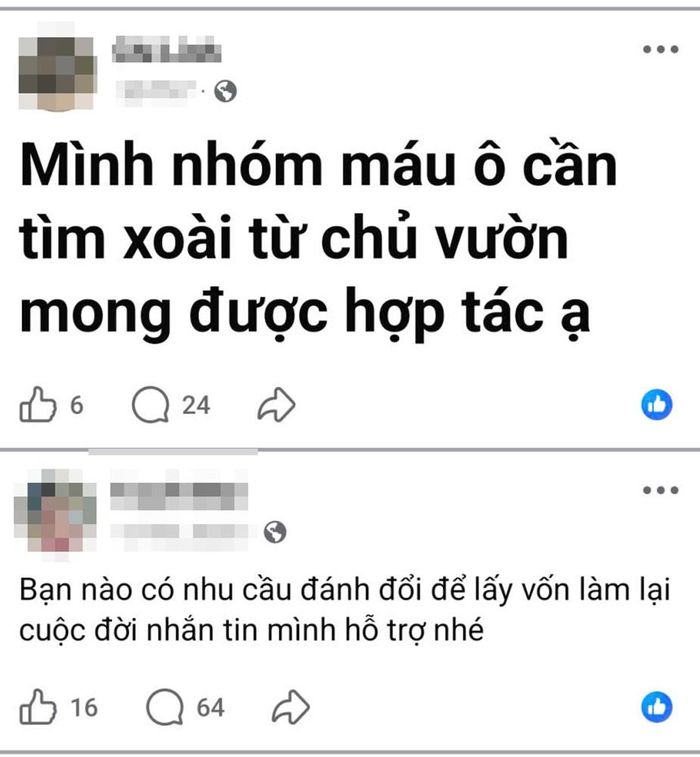 Người có nhu cầu mua thận đăng thông tin trên mạng xã hội, các “cò” tìm người bán để kết nối. Ảnh: Chụp màn hình