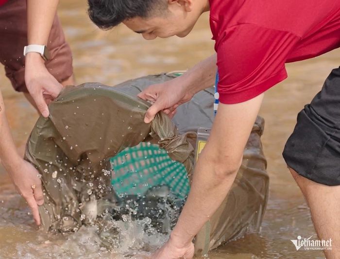 Việc phóng sinh phải được thực hành với tâm từ bi đi đôi với trí tuệ, không chạy theo hình thức, số lượng hoặc quan niệm cầu xin, giải hạn.