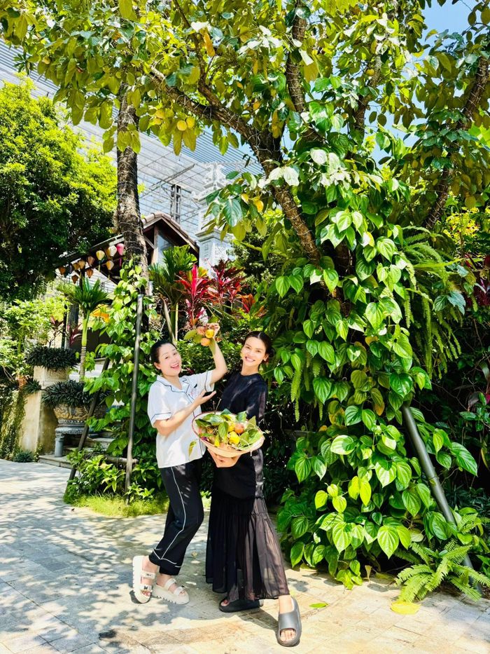Phạm Phương Thảo thường xuyên mời bạn bè đến thu hoạch cây trái.