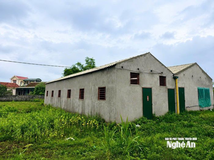 Trại chăn nuôi lợn nằm sát ngay khu dân cư của xóm Thọ Sơn. Ảnh: Tiến Hùng