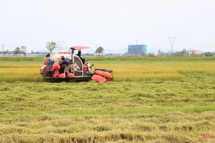 Các địa phương xây dựng kế hoạch điều phối phù hợp, tránh tình trạng thiếu máy cục bộ; có kế hoạch điều phối hợp lý giữa các vùng, khu vực, cánh đồng.