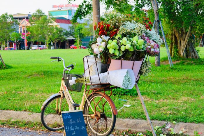 Thời điểm này, chị Nguyễn Thị Huyền My (phường Thành Sen) cũng đưa xe hoa mùa thu ra công viên 26/3 (phường Thành Sen) để phục vụ khách chụp hình.