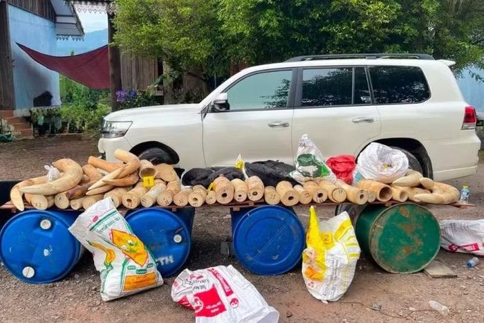 Vụ việc đang được điều tra, mở rộng nhằm xác định các nhóm, đối tượng và đồng phạm liên quan để xử lý theo quy định pháp luật.