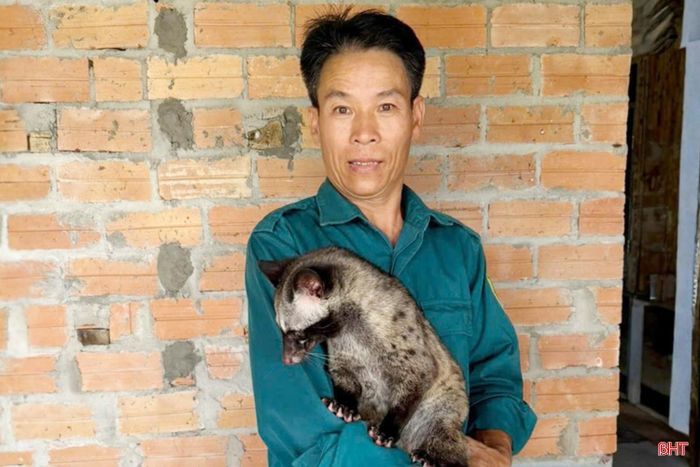 Mỗi năm, mô hình nuôi chồn hương đem lại lợi nhuận từ 400 - 450 triệu đồng cho gia đình ông Bình.