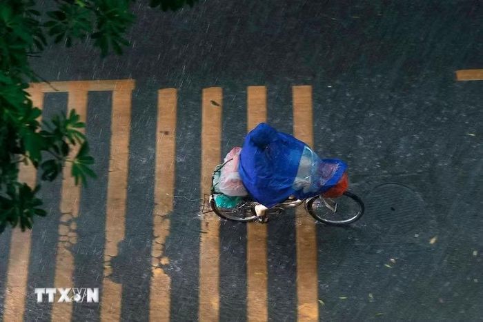 (Ảnh minh họa: Minh Quyết/TTXVN)
