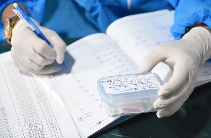 Toàn bộ quy trình lấy mẫu ADN hài cốt liệt sỹ được thực hiện nghiêm ngặt theo quy định, bảo đảm chính xác. (Ảnh: TTXVN)