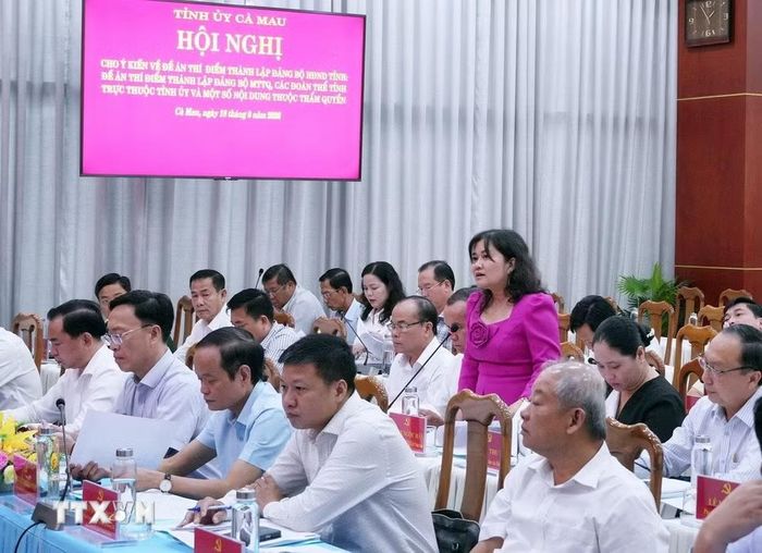 Đại biểu thảo luận tại Hội nghị Tỉnh ủy Cà Mau nhằm thông qua một số Quyết định quan trọng. (Ảnh: Trung Hiếu/TTXVN)