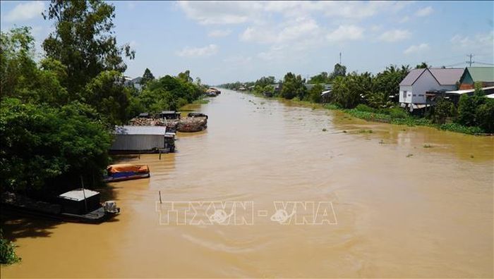 Dòng nước đục ngầu phù sa đổ về các sông, kênh, rạch, báo hiệu mùa nước nổi (mùa lũ) đang về.