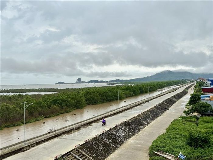 13km đê biển của xã Vạn Lộc đã được kè, lát mái, mặt đê được kiên cố bằng bê tông kiên cố. Ảnh: Hoa Mai/TTXVN