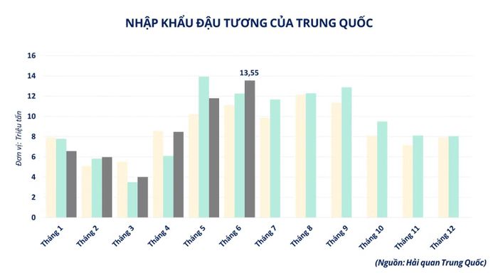 Nhập khẩu đậu tương của Trung Quốc.