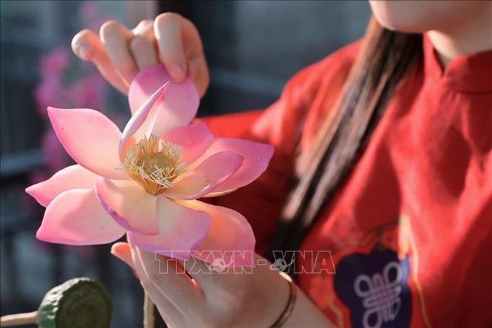 Từng cánh sen được chỉnh sửa, uốn và ghép bằng tay, đòi hỏi sự tỉ mỉ để tạo độ mềm mại và tự nhiên cho bông hoa.
