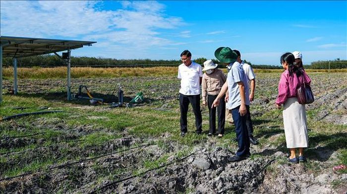 Lãnh đạo Sở Nông nghiệp và Môi trường tỉnh Tây Ninh khảo sát thực tế mô hình tưới tiêu thông minh bằng năng lượng mặt trời, tại xã Tân Châu.