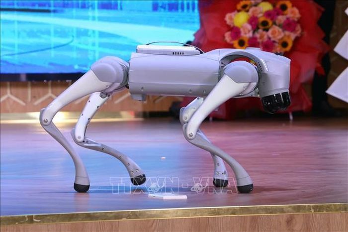Biểu diễn mô hình chó robot.