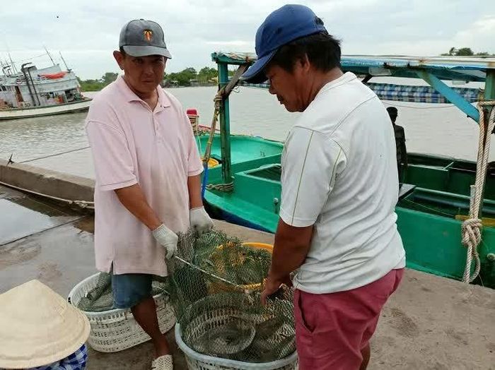 Người dân có thêm việc làm tại cảng cá Rạch Gốc.
