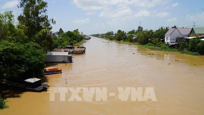 Dòng nước đục ngầu phù sa đổ về các sông, kênh, rạch, báo hiệu mùa nước nổi (mùa lũ) đang về. Ảnh: Nhựt An - TTXVN