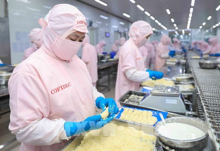 Công ty phát triển kinh tế Duyên Hải (Cofidec) chuyên sản xuất nông thủy sản, sở hữu các dây chuyền hiện đại: chiên, nướng, hấp, trái cây và thủy sản tôm các loại...Ảnh: Phan Phương - TTXVN