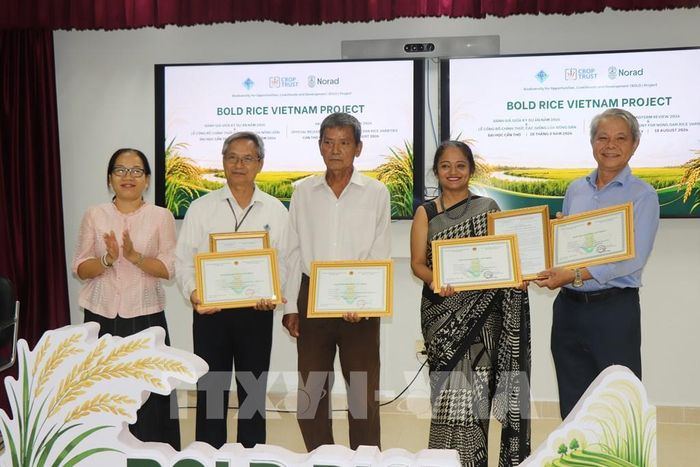 Đại diện Cục Trồng trọt và Bảo vệ thực vật trao chứng nhận cấp phép lưu hành giống lúa Nông Dân 1 và Nông Dân 2 cho các đơn vị tham gia nghiên cứu. Ảnh: Thu Hiền - TTXVN