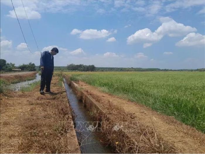 Dự báo El Nino có khả năng phát triển với cường độ mạnh đến rất mạnh, làm gia tăng nguy cơ thiếu hụt nguồn nước, hạn hán kéo dài. Ảnh minh họa: TTXVN