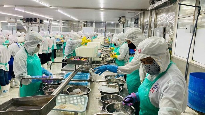 Phân xưởng sản xuất của Công ty Thủy sản Năm Sao (FISSCO). Ảnh: Văn Giáp/Bnews/TTXVN