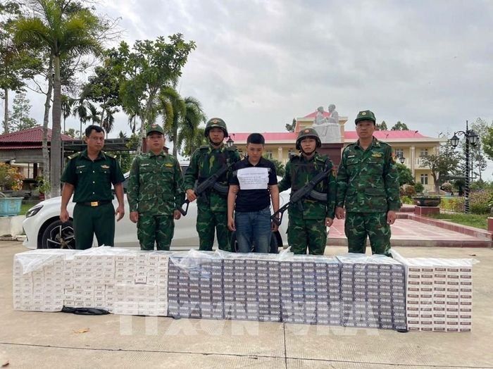Đồn Biên phòng Mỹ Thạnh Tây (Tây Ninh) phát hiện 3.990 bao thuốc lá ngoại nhập lậu các nhãn hiệu Hero, Jet và Scott. Ảnh: TTXVN phát