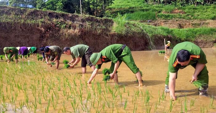 "Xuống đồng" giúp người dân có hoàn cảnh khó khăn vào ngày mùa.