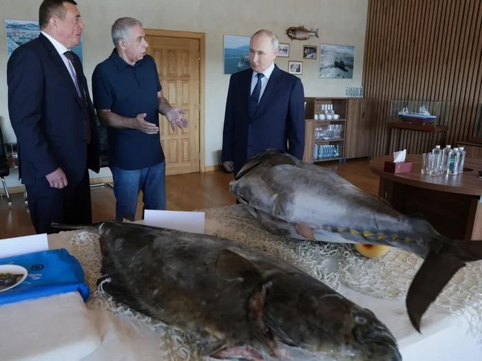 Tổng thống Nga Vladimir Putin tại một nhà máy chế biến cá trên quần đảo Kuril . Ảnh: The Guardian.