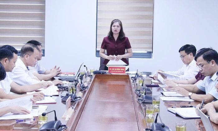 Đồng chí Lâm Thị Hương Thành kết luận buổi giám sát.