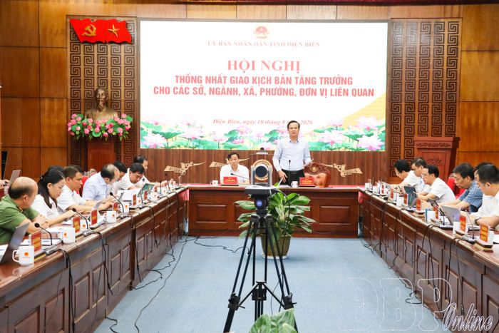 Đồng chí Lò Văn Cương, Ủy viên Ban Thường vụ Tỉnh ủy, Phó Chủ tịch Thường trực UBND tỉnh phát biểu tại hội nghị.