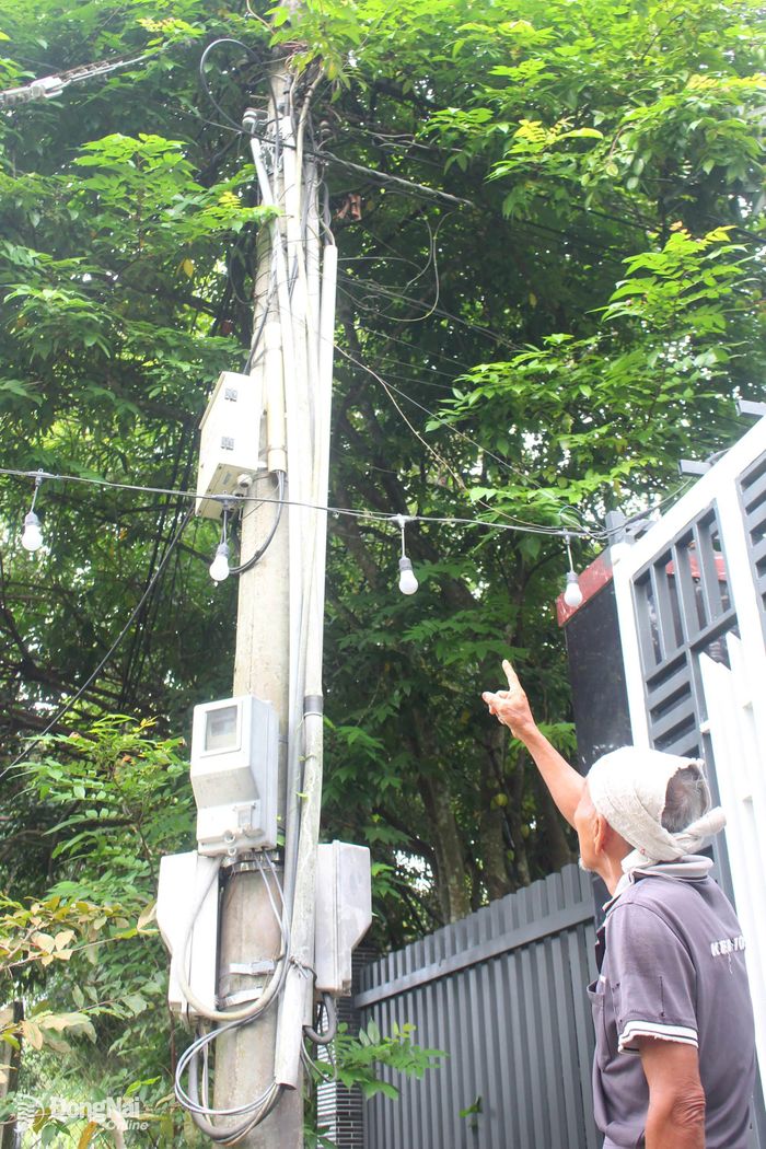 Cây ngã đè lên đường dây điện tại tổ 9, khu phố Phú Hội, phường Nhơn Trạch.