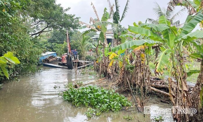 Xã Tân Dương tăng cường nạo vét gia cố các tuyến kênh nội đồng nhằm đảm bảo phòng, chống thiên tai trong mùa mưa lũ.