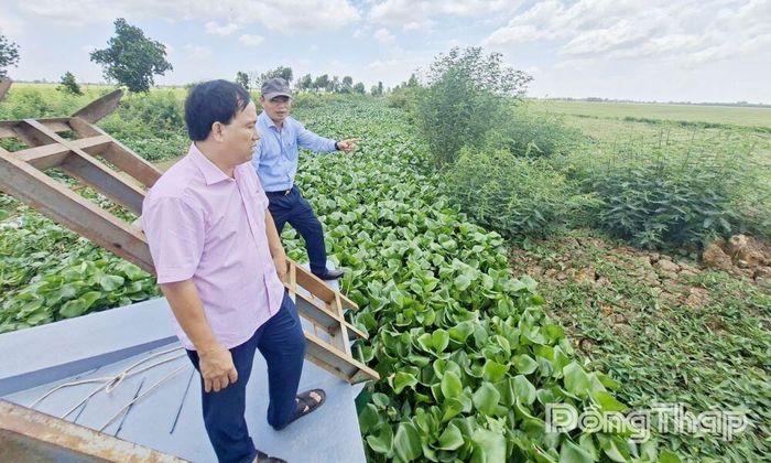 Đồng chí Nguyễn Đức Thịnh, Phó Giám đốc Sở Nông nghiệp và Môi trường cùng chính quyền địa phương kiểm tra các vị trí bị lũ, triều cường ngập, tràn trong năm 2025 tại xã Phương Thịnh.