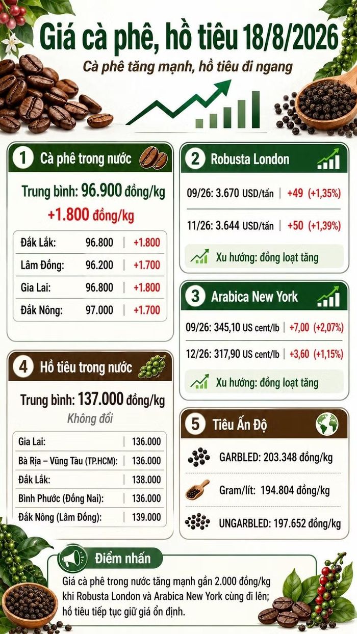 Infographic (AI)