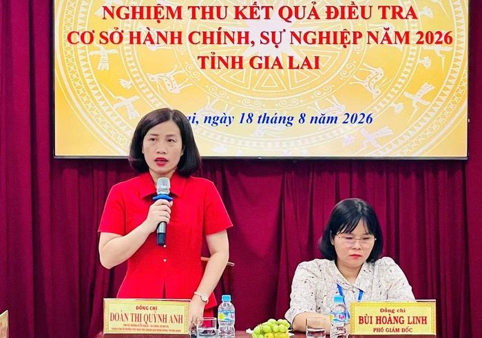  Bà Đoàn Thị Quỳnh Anh - Phó Vụ trưởng Vụ kế hoạch - Tài chính (Bộ Nội vụ) phát biểu kết luận tại buổi làm việc. Ảnh: Phi Long 