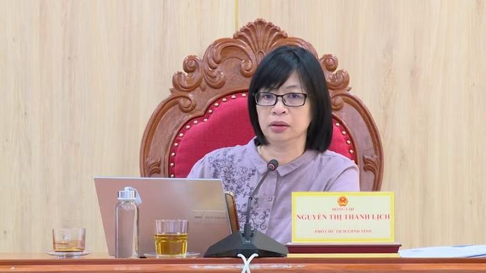  Phó Chủ tịch UBND tỉnh Nguyễn Thị Thanh Lịch phát biểu chỉ đạo tại cuộc họp. Ảnh: Minh Hoàng 
