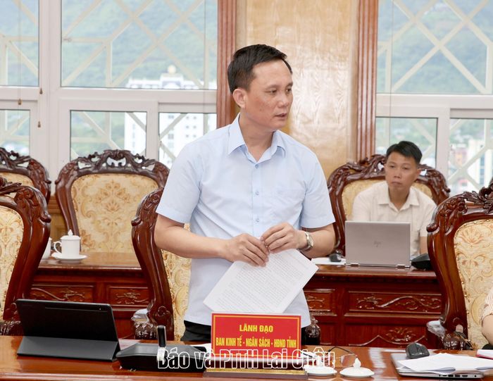 Lãnh đạo Ban Kinh tế - Ngân sách HĐND tỉnh phát biểu tại buổi làm việc.