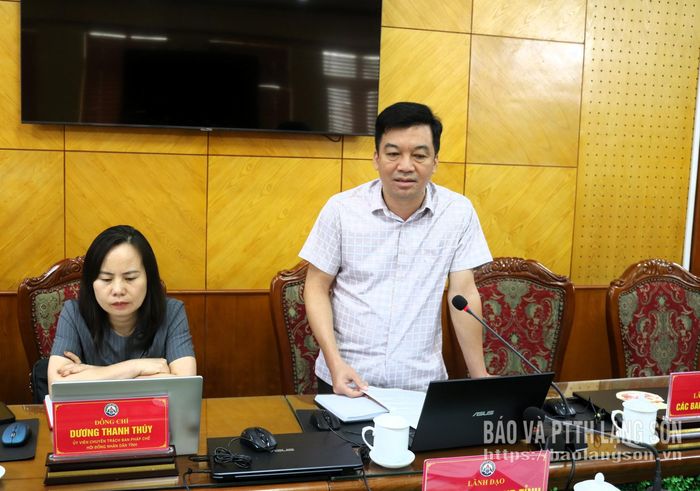 Lãnh đạo Ban Văn hóa - Xã hội HĐND tỉnh phát biểu tại cuộc thẩm tra