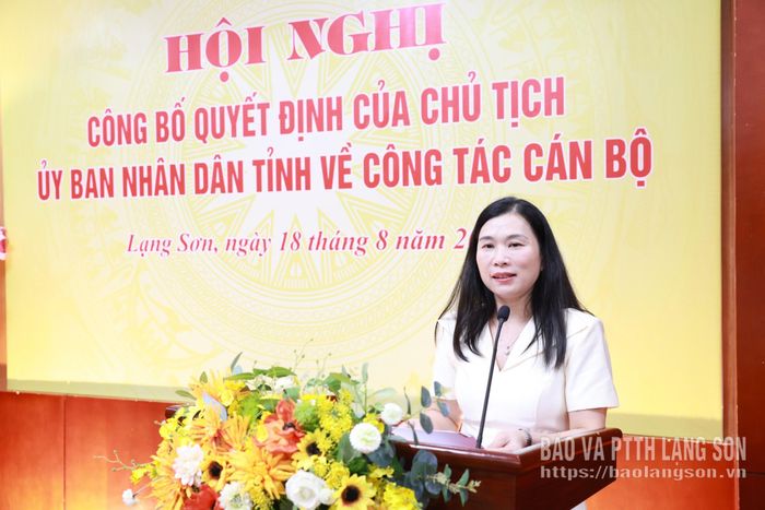 Đồng chí Trần Thanh Nhàn, Phó Chủ tịch UBND tỉnh phát biểu giao nhiệm vụ tại hội nghị