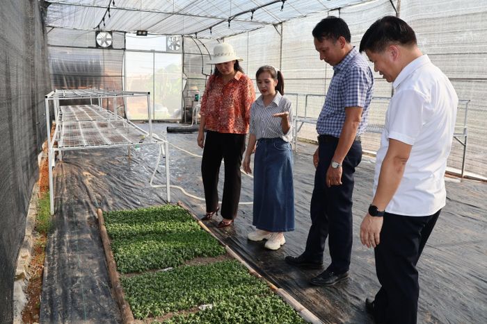 Đoàn khảo sát tham quan các mô hình.