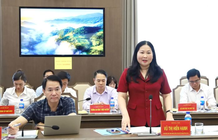 Đồng chí Vũ Thị Hiền Hạnh - Phó Chủ tịch UBND tỉnh phát biểu tại buổi làm việc