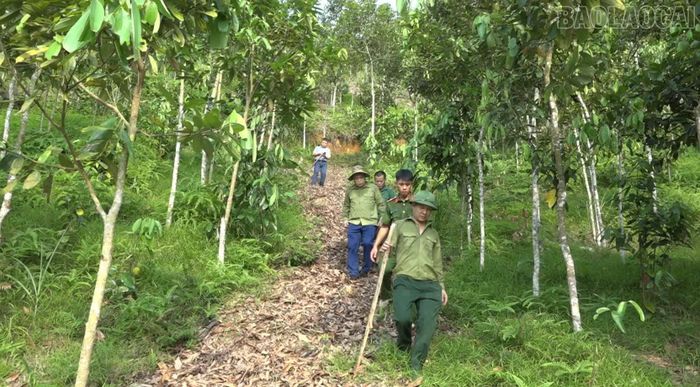 Lãnh đạo xã Xuân Hòa kiểm tra khu vực xuất hiện các vết nứt trên đồi phía trên bản Mai Hạ.