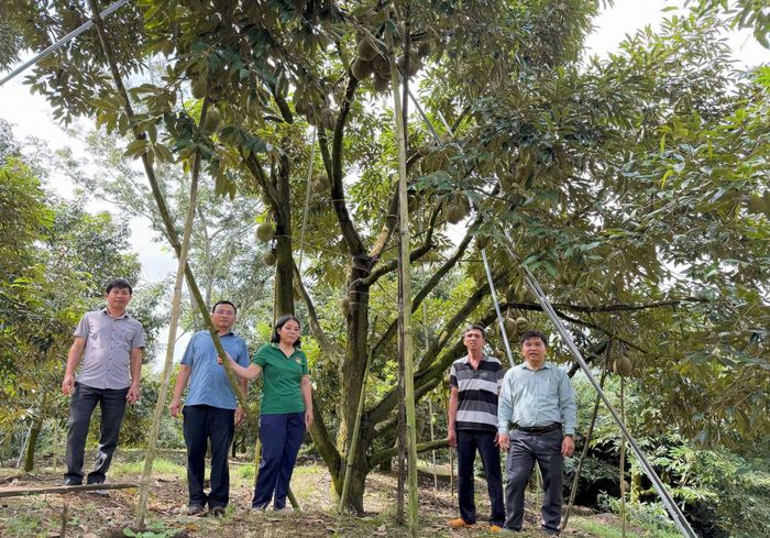 Lãnh đạo địa phương tham quan vườn sầu riêng của bà con địa phương