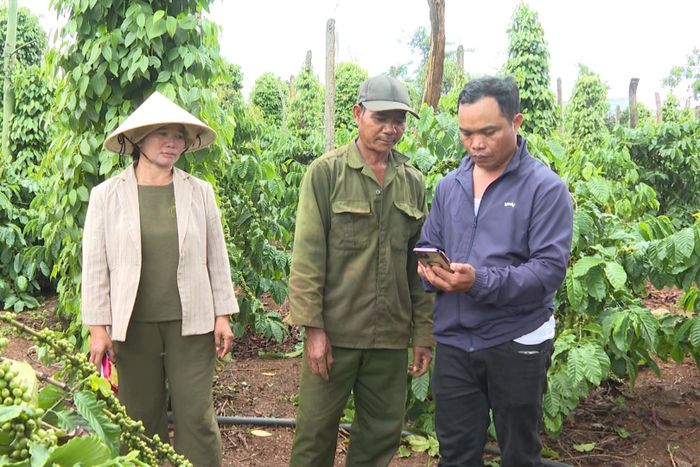 Bà con vùng DTTS xã Đắk Mil ngày càng quan tâm ứng dụng công nghệ phục vụ tưới tiêu trong sản xuất nông nghiệp qua điện thoại thông minh