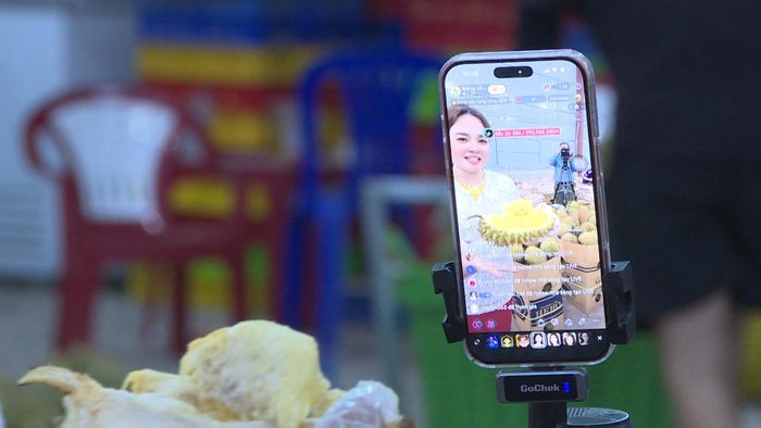 Người trẻ đồng bào DTTS livestream giới thiệu, kết nối khách hàng với nguồn sầu riêng tại vựa thu mua