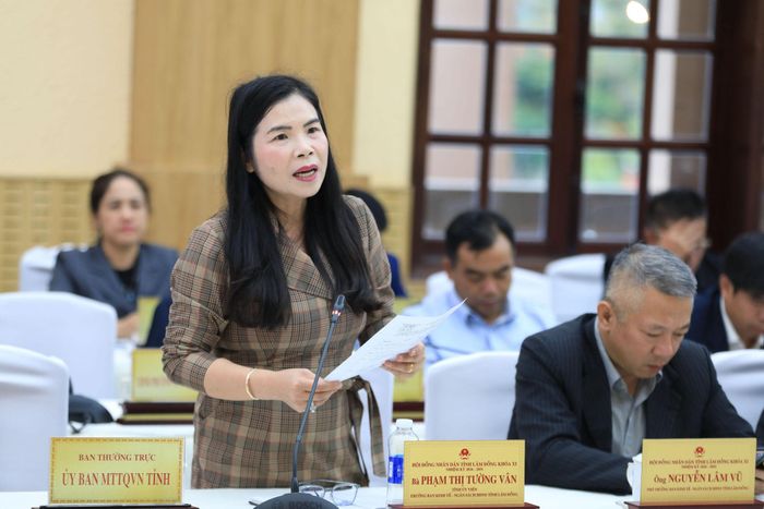 Tỉnh ủy viên, Trưởng Ban Kinh tế - Ngân sách HĐND tỉnh Lâm Đồng Phạm Thị Tường Vân giải đáp một số vấn đề HĐND các xã, phường quan tâm