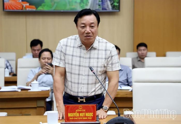 Phó Chủ tịch UBND tỉnh Nguyễn Huy Ngọc phát biểu tại hội nghị.