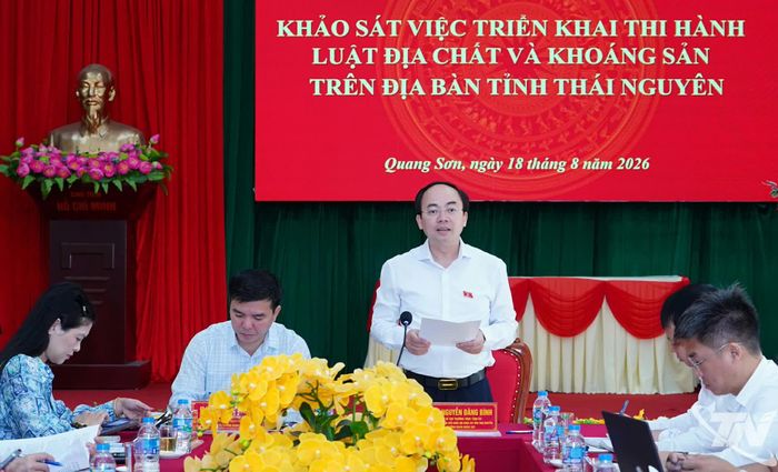 Đồng chí Nguyễn Đăng Bình, Phó Bí thư Thường trực Tỉnh ủy, Trưởng Đoàn đại biểu Quốc hội tỉnh phát biểu tại buổi khảo sát.